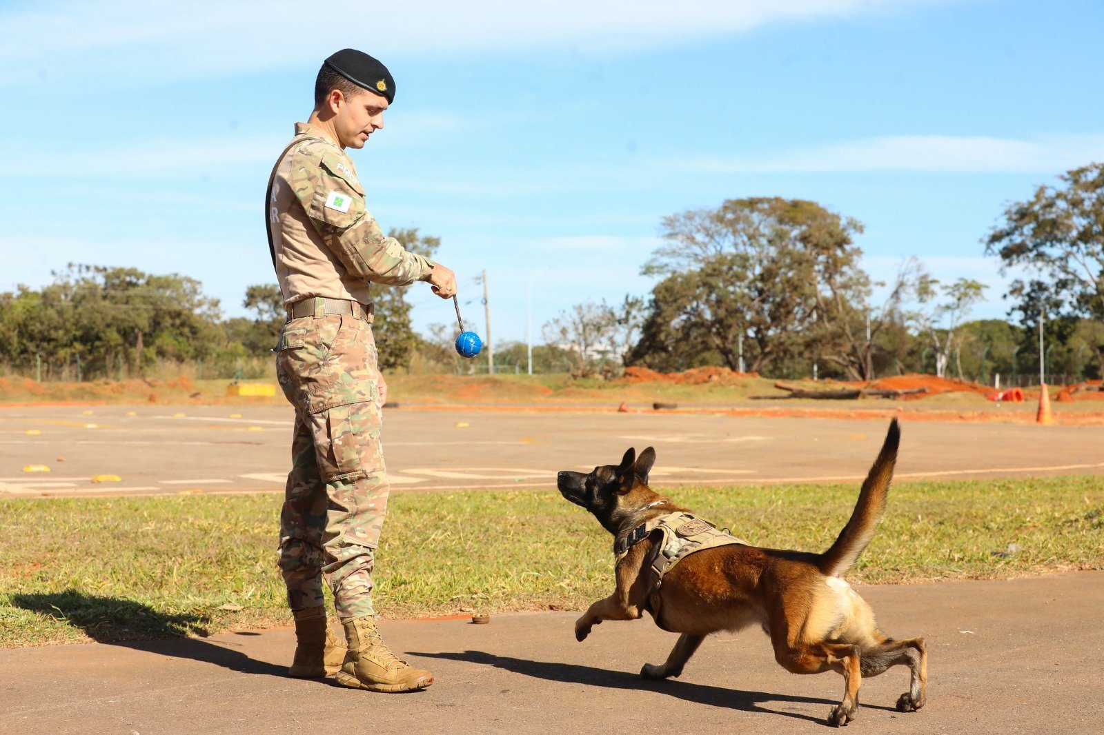 PMDF abre seleção para curso operacional de cinotecnia