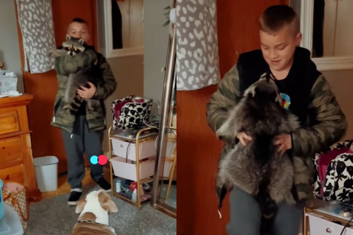 Mãe entra em pânico ao ver filho com animal selvagem em casa. Entenda