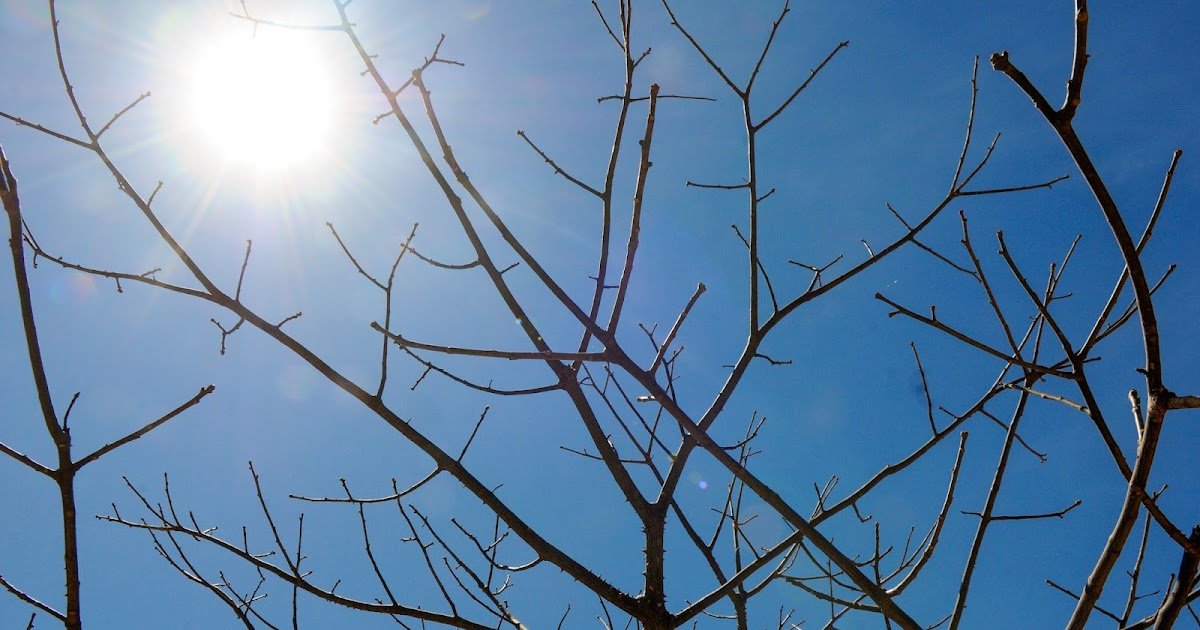 Calor de 34 °C atinge o DF nesta sexta; previsão de chuva apenas para domingo