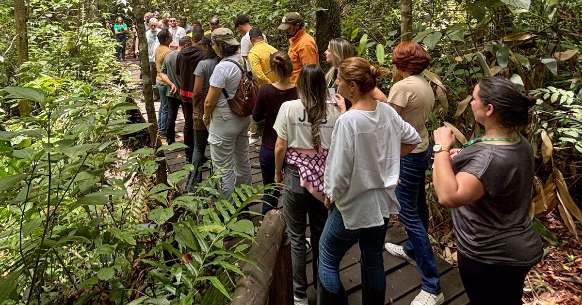 Jardim Botânico e Sobradinho terão interrupção no fornecimento de energia elétrica para manutenção nesta quinta (2)